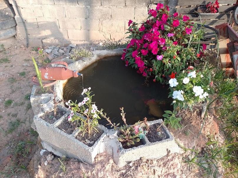 Chácara Chiafarelli Casa de hóspedes São Roque Exterior foto